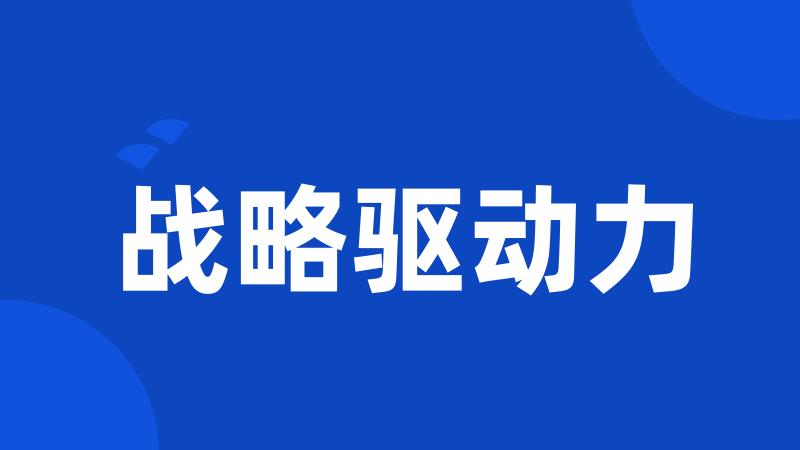 战略驱动力