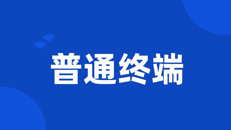 普通终端