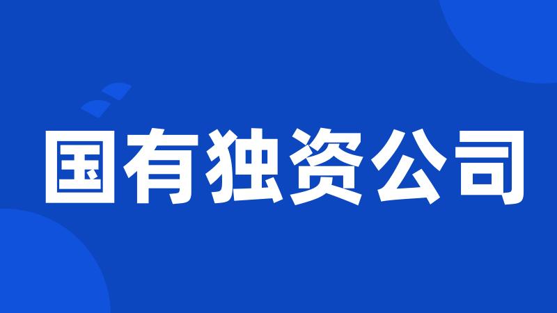 国有独资公司