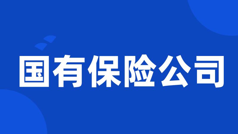 国有保险公司