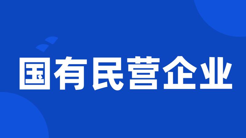 国有民营企业