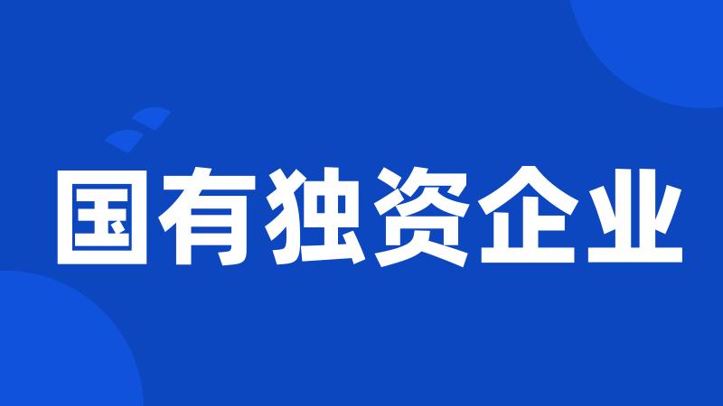 国有独资企业