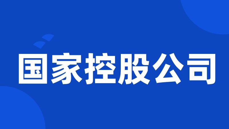 国家控股公司