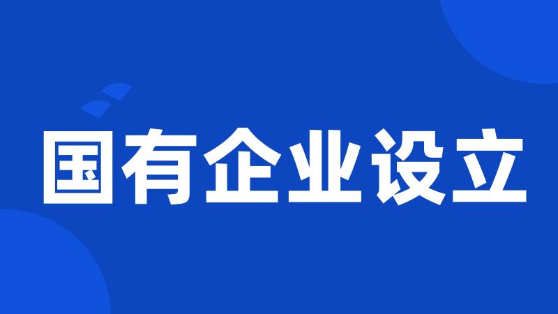 国有企业设立