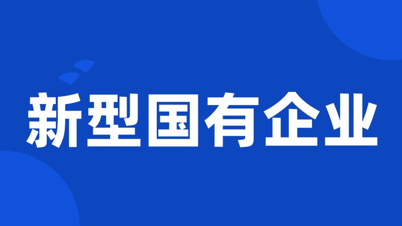新型国有企业