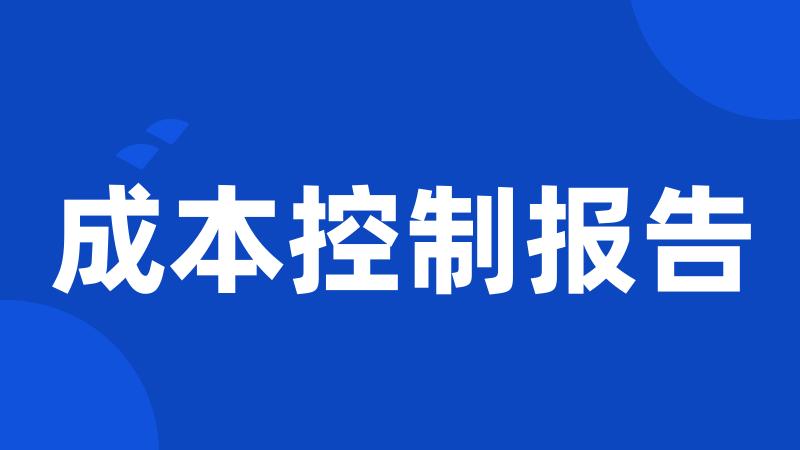 成本控制报告