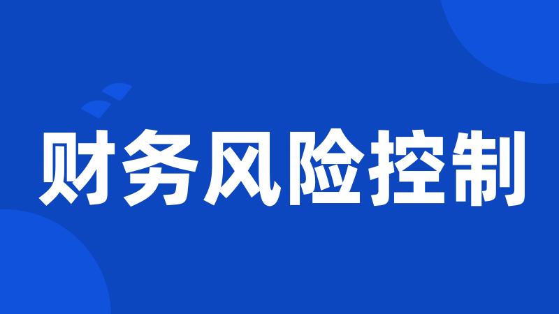 财务风险控制