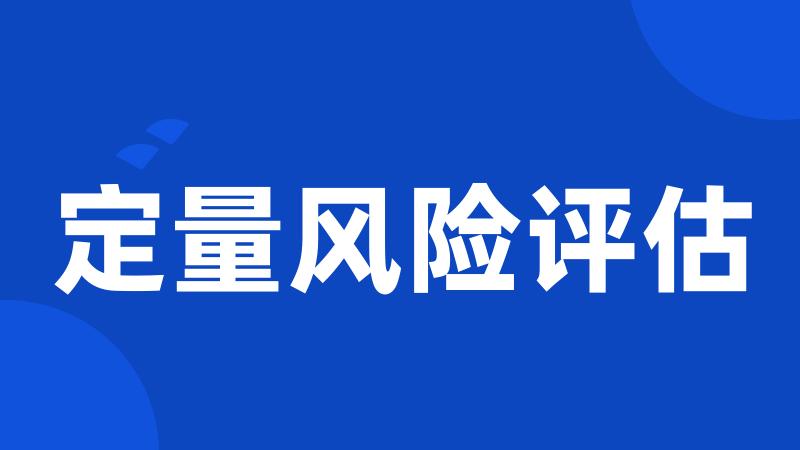 定量风险评估