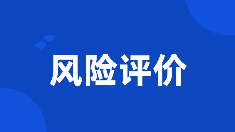 风险评价