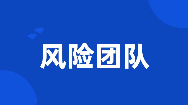 风险团队