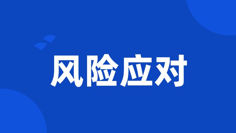 风险应对
