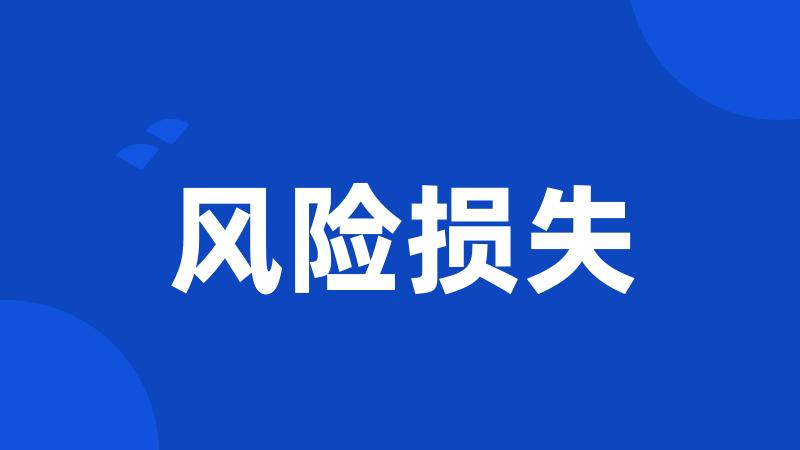 风险损失