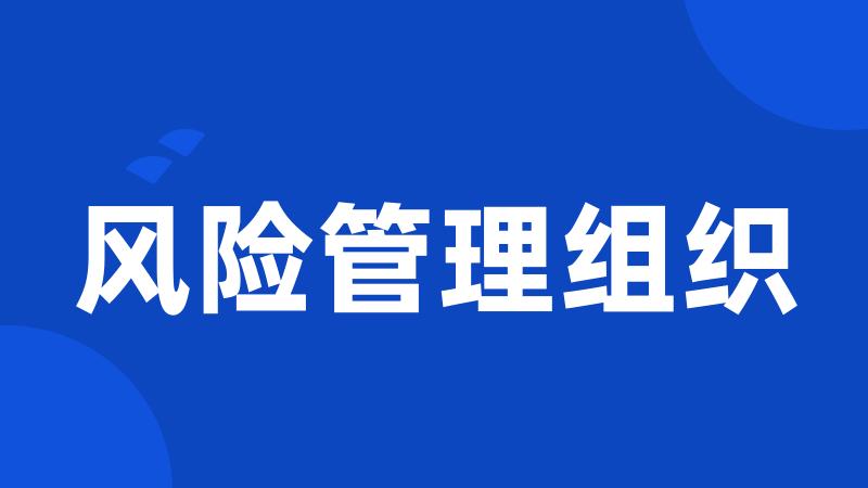 风险管理组织