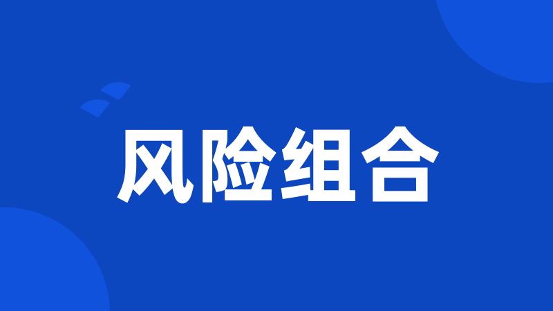 风险组合
