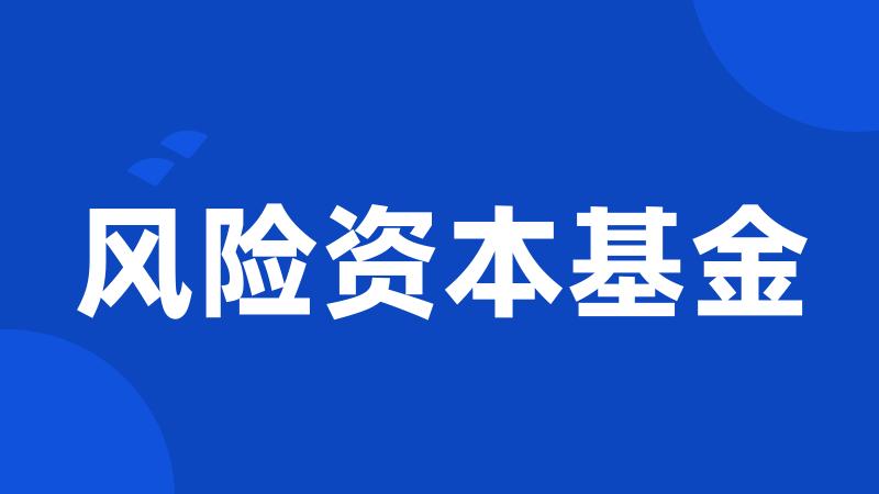 风险资本基金