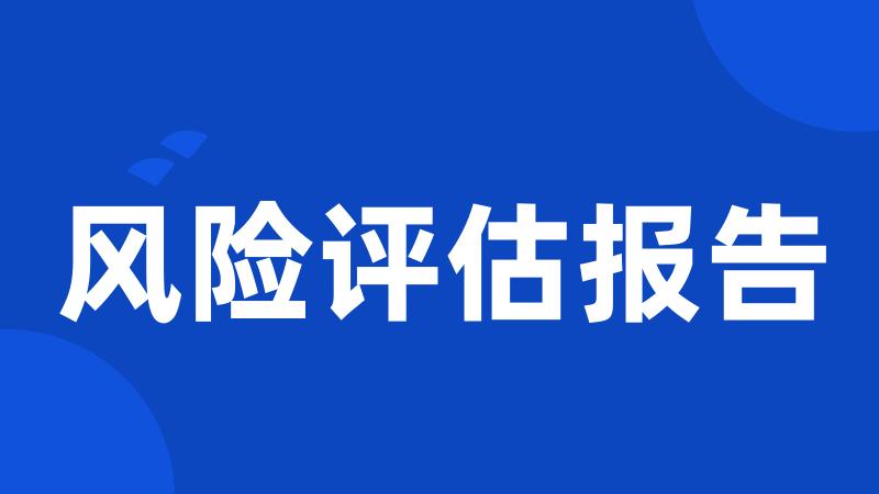 风险评估报告