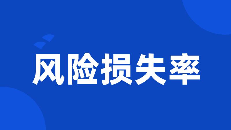 风险损失率