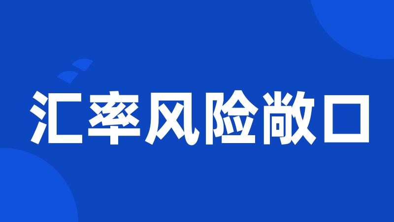 汇率风险敞口