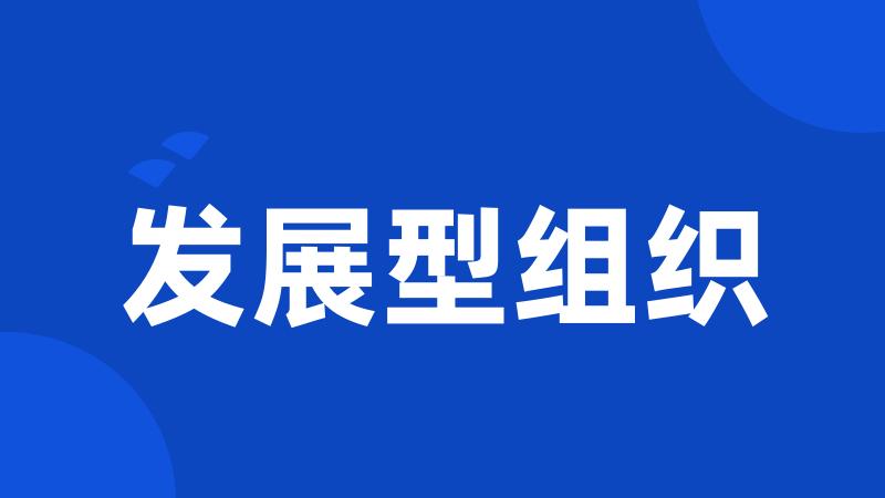 发展型组织