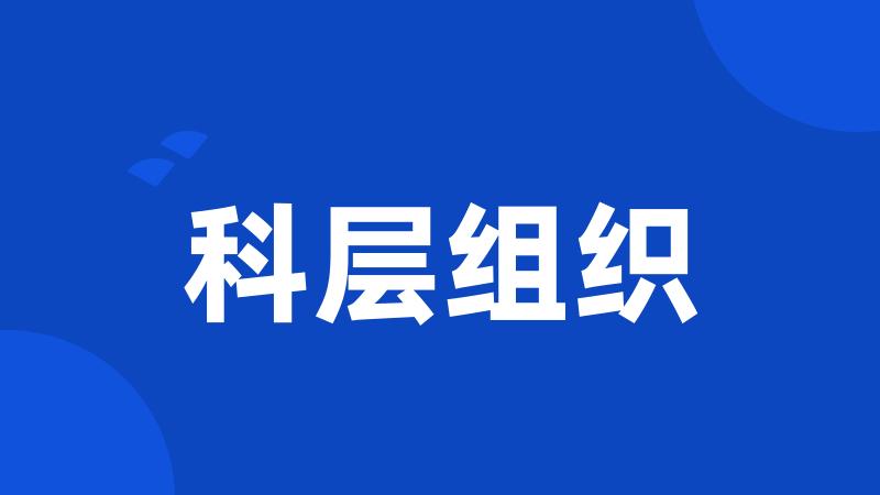 科层组织