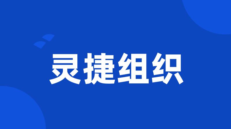 灵捷组织