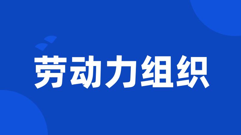劳动力组织