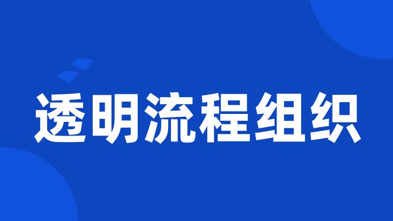 透明流程组织