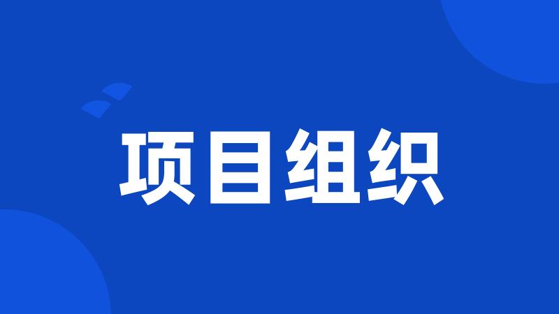 项目组织