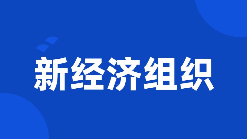 新经济组织