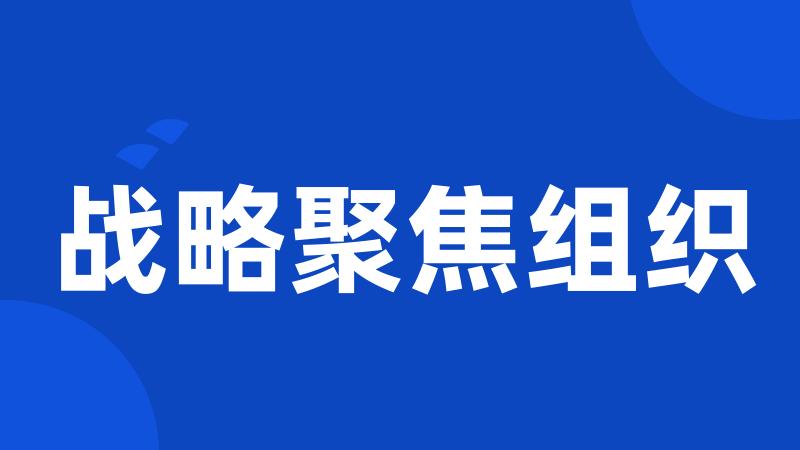 战略聚焦组织