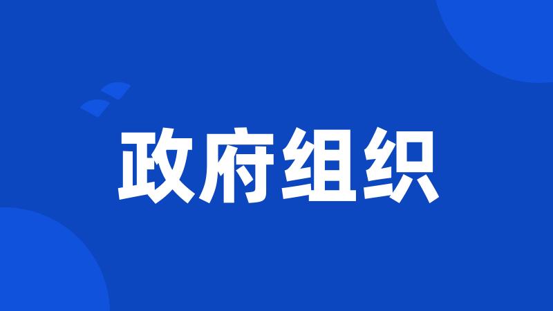 政府组织
