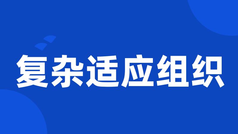 复杂适应组织