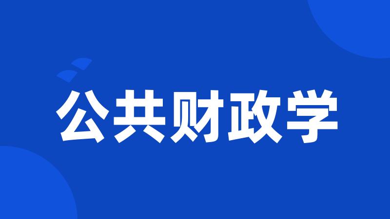 公共财政学