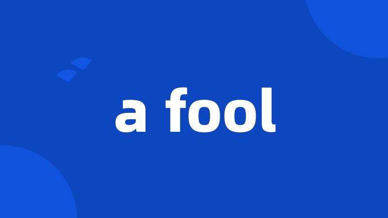 a fool