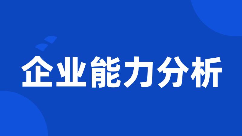 企业能力分析