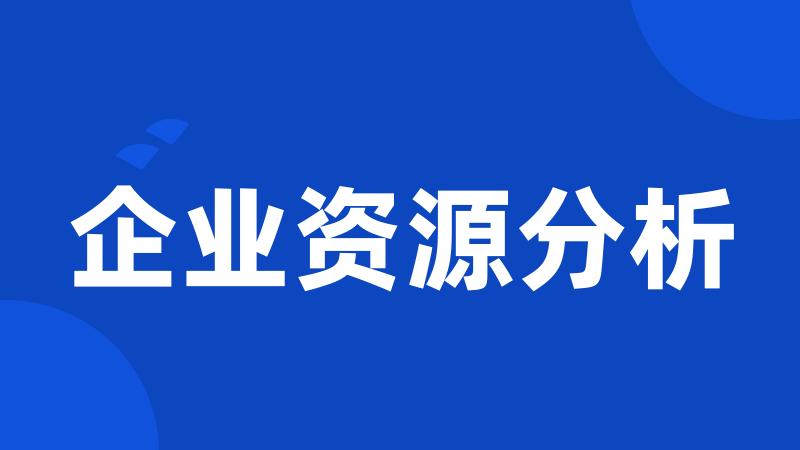 企业资源分析