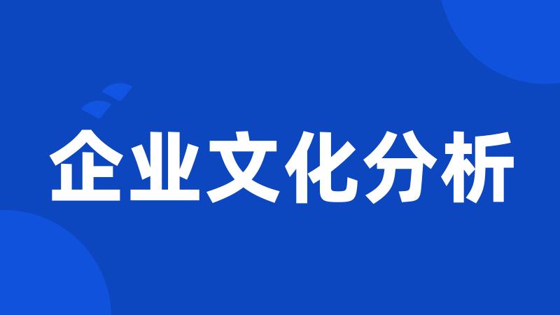 企业文化分析