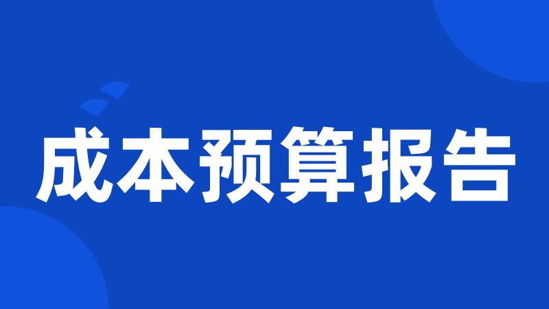 成本预算报告