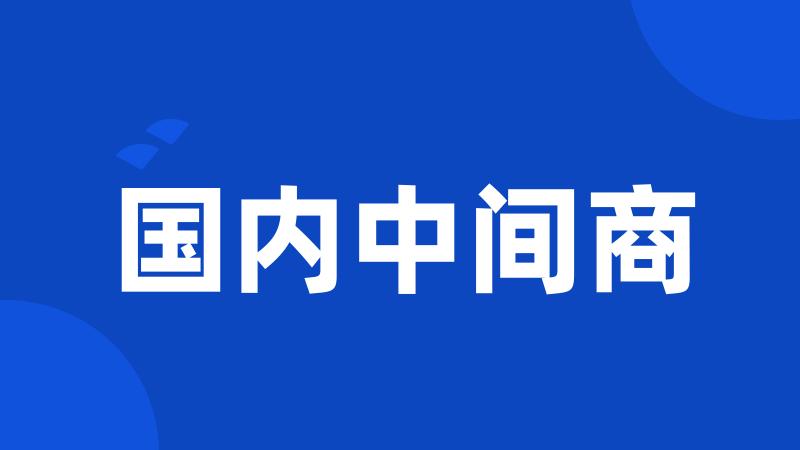 国内中间商