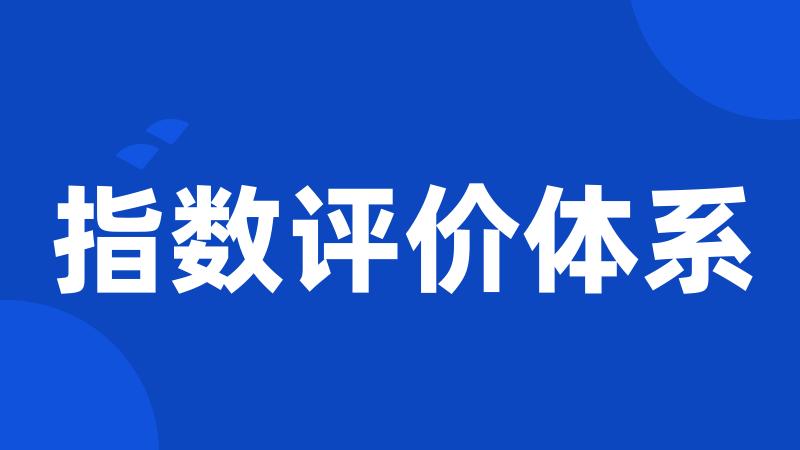 指数评价体系