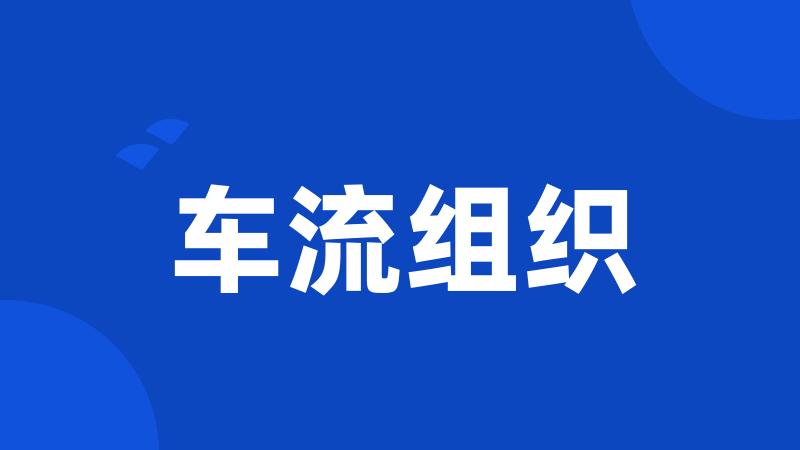 车流组织