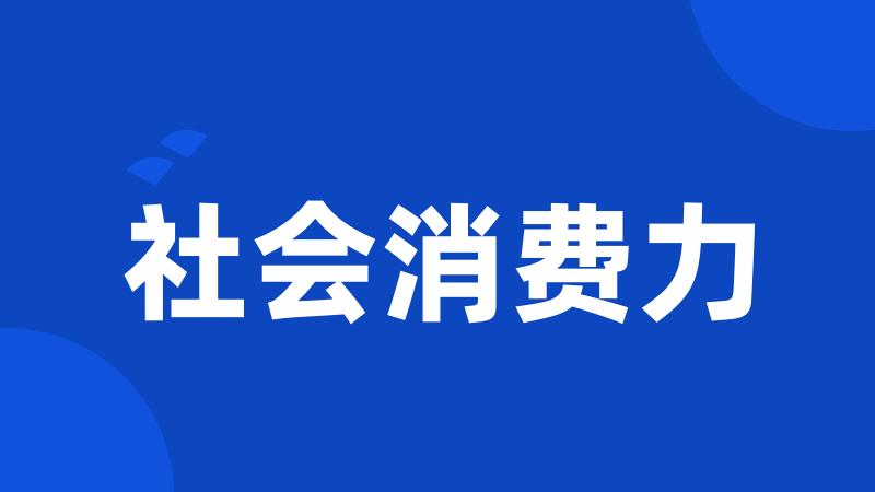 社会消费力