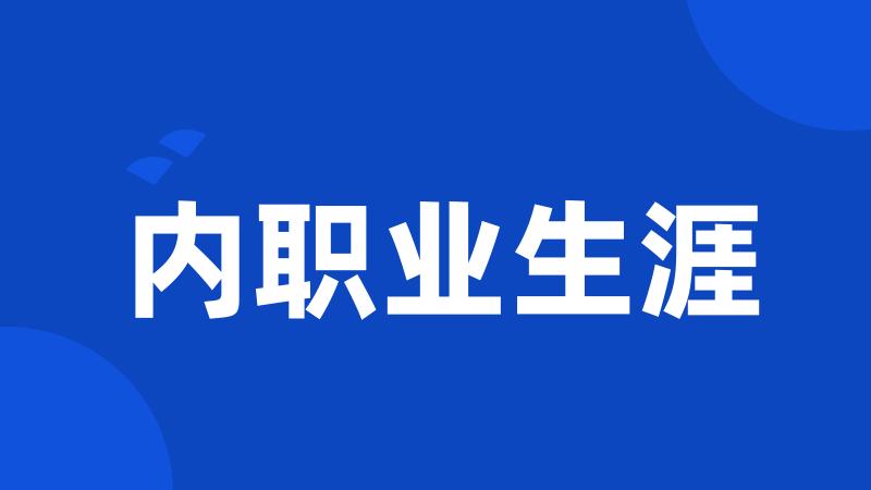 内职业生涯