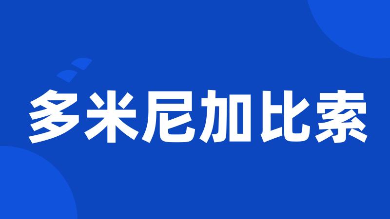 多米尼加比索