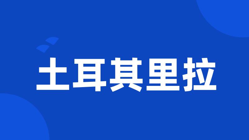 土耳其里拉