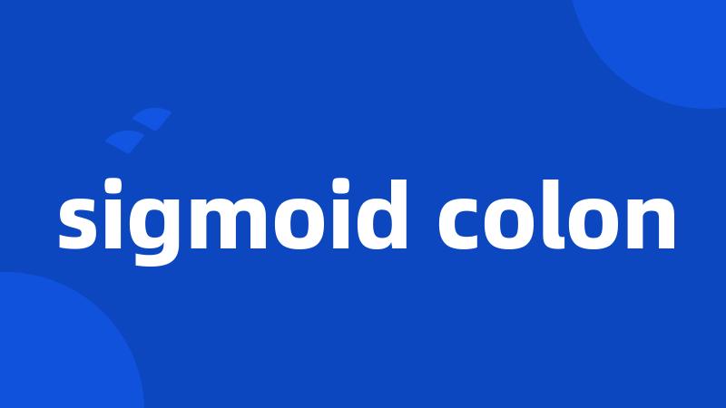 sigmoid colon