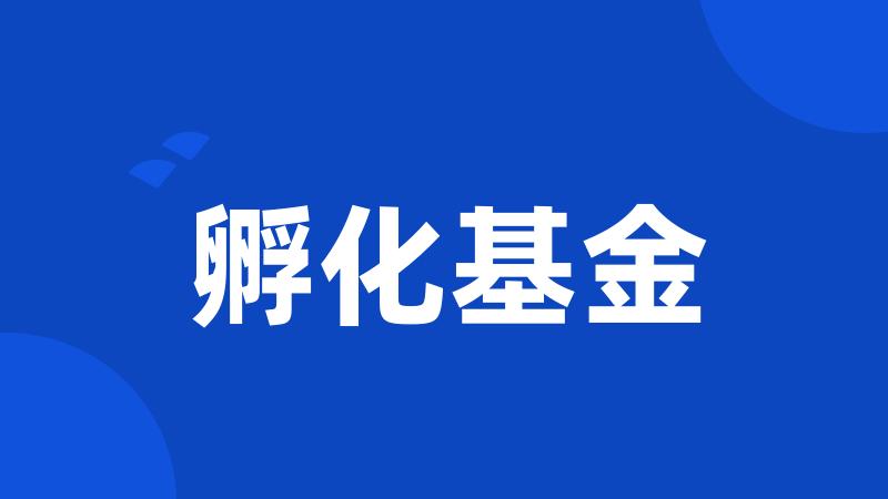 孵化基金
