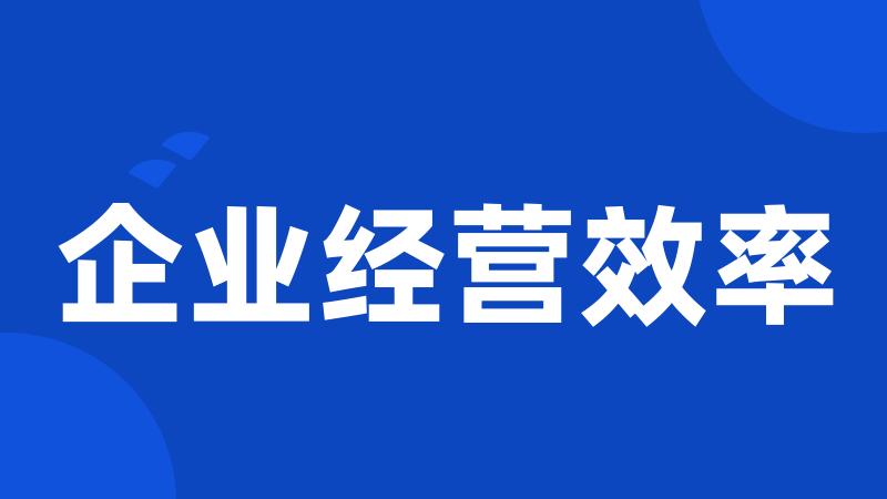 企业经营效率
