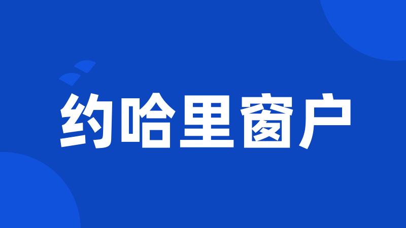 约哈里窗户