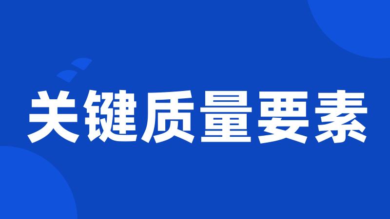 关键质量要素